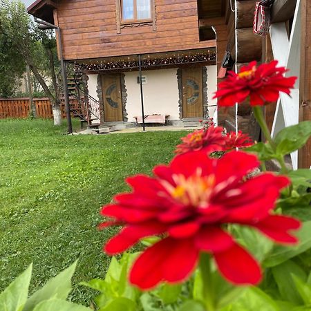 Pidkova Vila Verkhovyna Exterior foto
