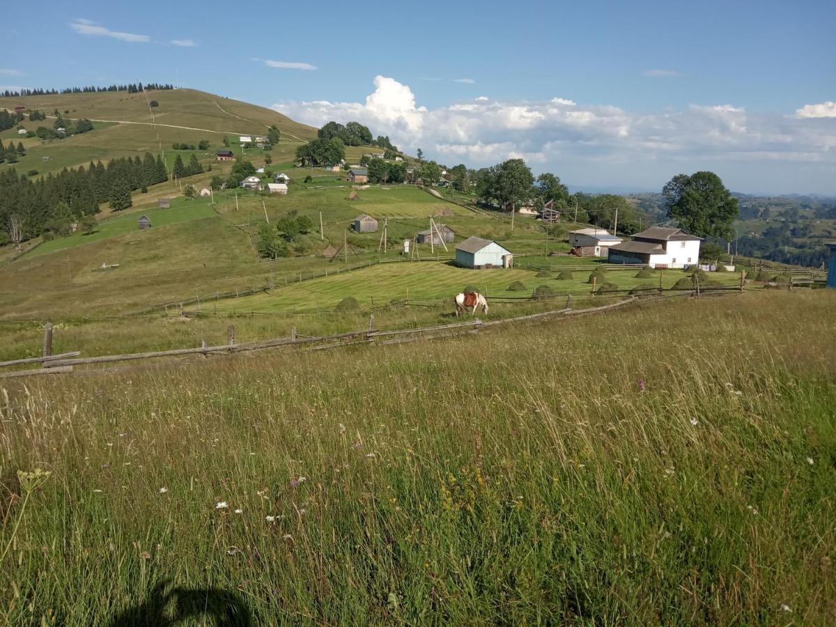 Pidkova Vila Verkhovyna Exterior foto