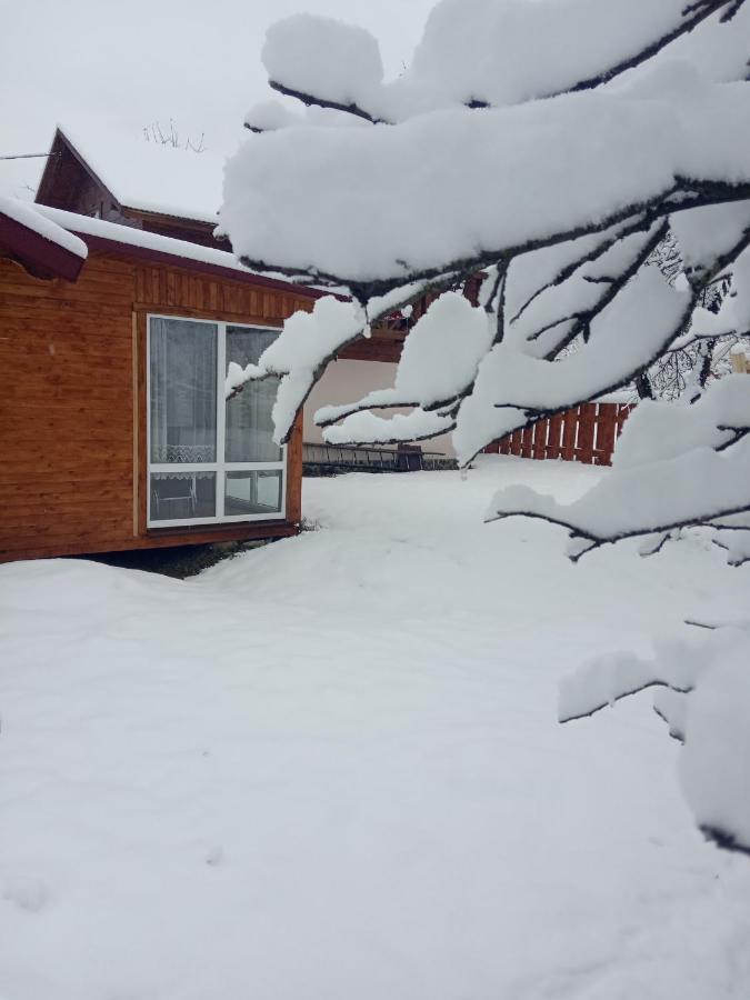 Pidkova Vila Verkhovyna Exterior foto