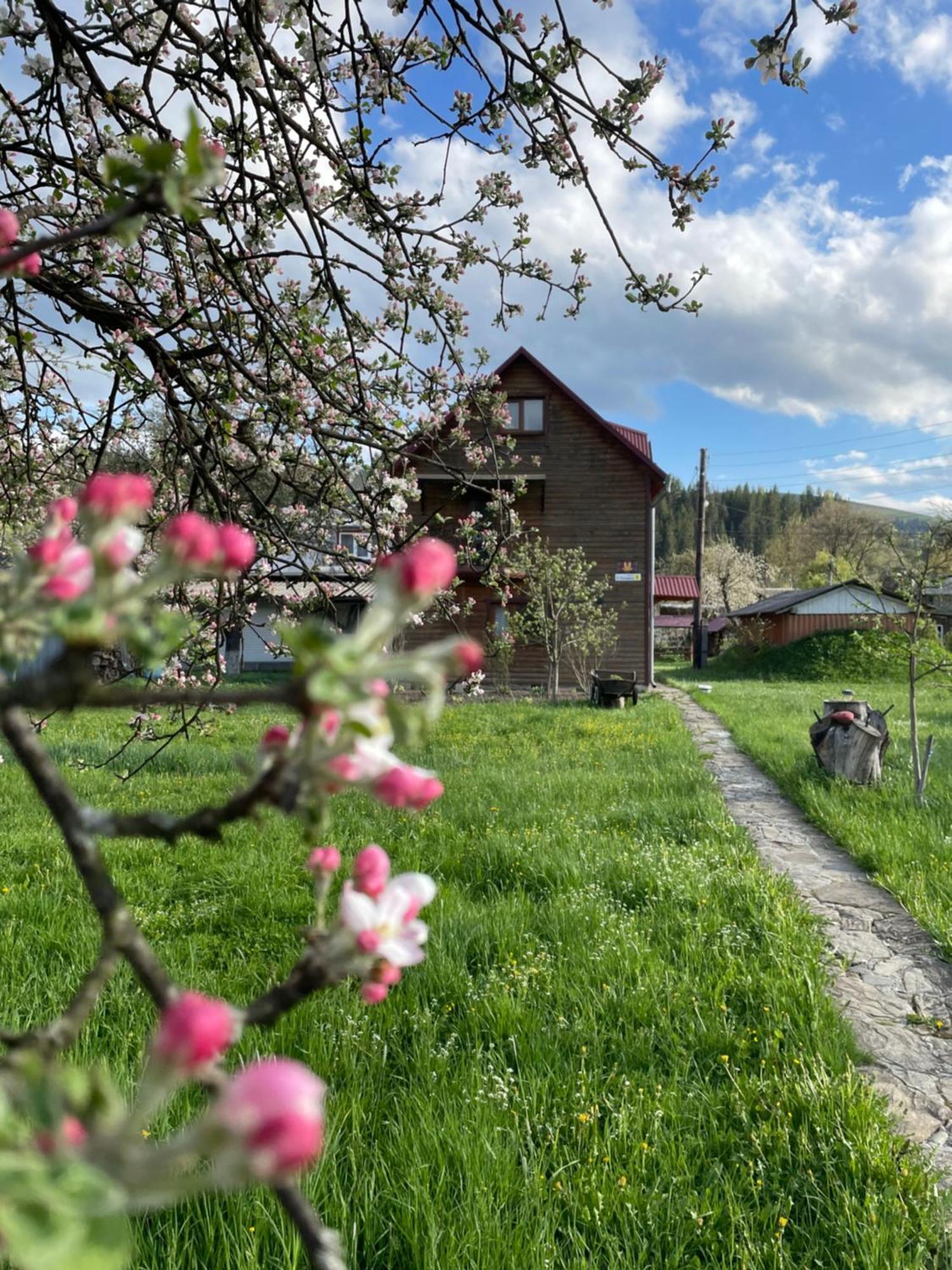 Pidkova Vila Verkhovyna Exterior foto