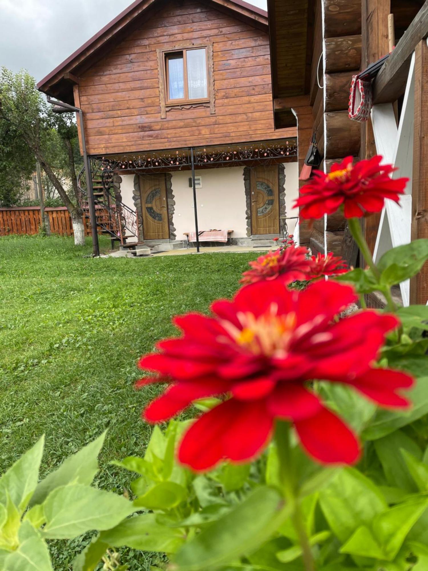 Pidkova Vila Verkhovyna Exterior foto